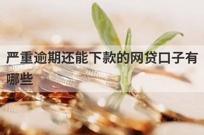 严重逾期还能下款的网贷口子有
哪些
