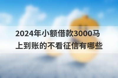 2024年小额借款3000马
上到账的不看征信有哪些
