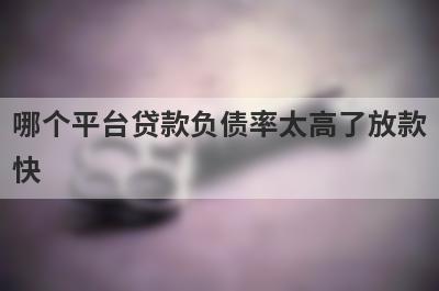 哪个平台贷款负债率太高了放款
快

