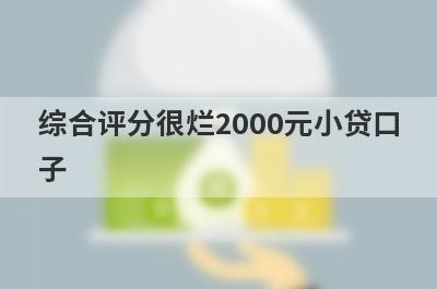 综合评分很烂2000元小贷口
子
