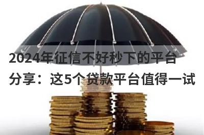 2024年征信不好秒下的平台分享：这5个贷款平台值得一试！