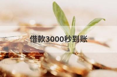 借款3000秒到账，贷款伍万元马上到账