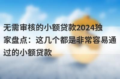 无需审核的小额贷款2024独
家盘点：这几个都是非常容易通
过的小额贷款

