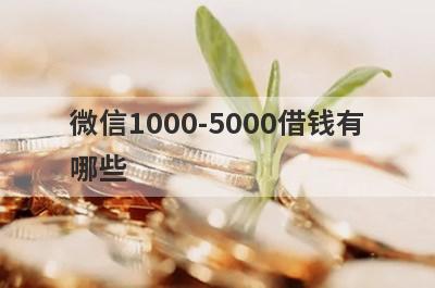 微信1000-5000借钱有哪些？独家盘点5个2024个人借钱微信秒到账