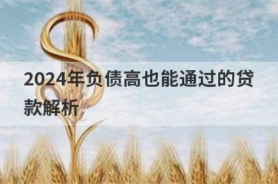 2024年负债高也能通过的贷
款解析
