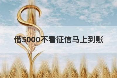 借5000不看征信马上到账，精选5个小额贷款平台，通过率高，秒批极速放款！