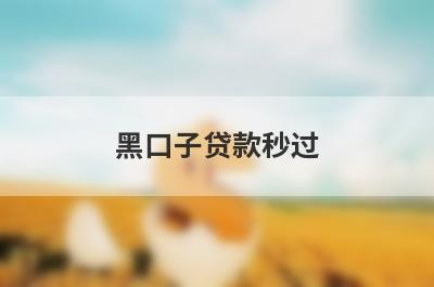 黑口子贷款秒过 2024急需5000必过口子百分百下款