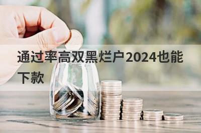 通过率高双黑烂户2024也能下款，这几个小额贷款极速到账