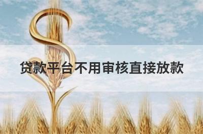 贷款平台不用审核直接放款，挑选5个贷款平台不用审核直接放款，放款快速！