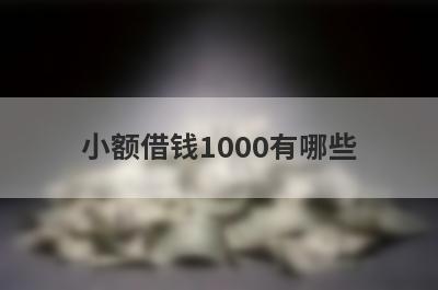 小额借钱1000有哪些？这五个贷款，借钱快好下款