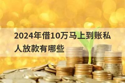 2024年借10万马上到账私
人放款有哪些
