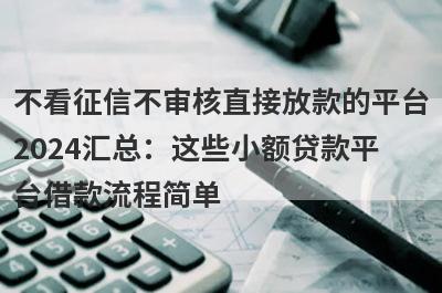 不看征信不审核直接放款的平台2024汇总：这些小额贷款平台借款流程简单，放款快速！