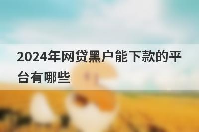 2024年网贷黑户能下款的平台有哪些？盘点5个网贷黑白户可以借款的口子