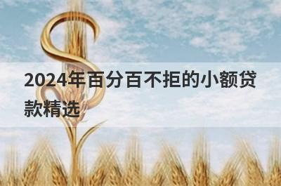 2024年百分百不拒的小额贷
款精选
