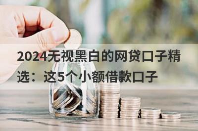 2024无视黑白的网贷口子精
选：这5个小额借款口子
