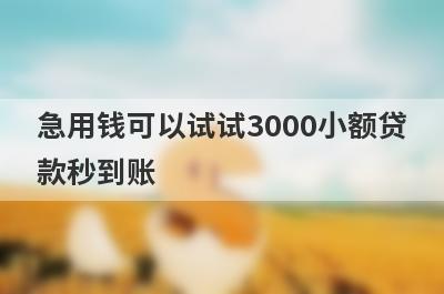 急用钱可以试试3000小额贷款秒到账，放款快速！