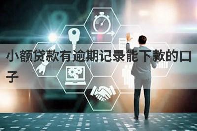 小额贷款有逾期记录能下款的口
子
