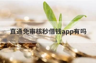 直通免审核秒借钱app有吗？这5个平台随借随到很方便