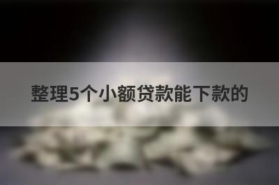 整理5个小额贷款能下款的，需要的可以试试