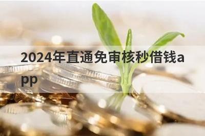 2024年直通免审核秒借钱app 无门槛借钱平台绝对可以借到钱