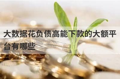 大数据花负债高能下款的大额平
台有哪些
