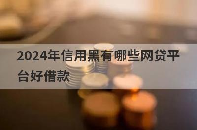 2024年信用黑有哪些网贷平台好借款？试试这5个借款简单的平台