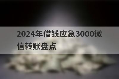 2024年借钱应急3000微信转账盘点，这5个网贷平台放款快速，可以迅速解决资金需求！