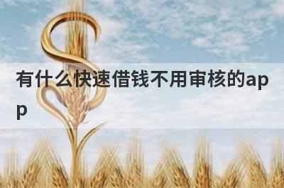 有什么快速借钱不用审核的ap
p
