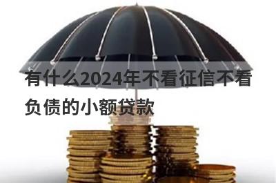 有什么2024年不看征信不看负债的小额贷款？精选5个好下款的贷款