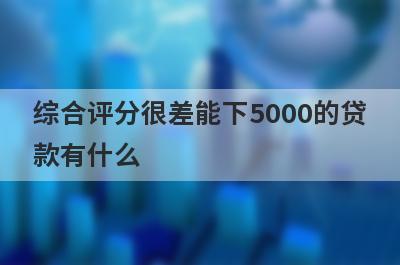 综合评分很差能下5000的贷款有什么？试试这5个能借5000的口子