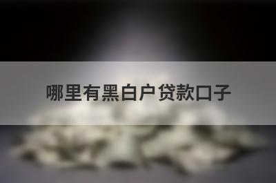 哪里有黑白户贷款口子？急用钱试试这些小额贷款