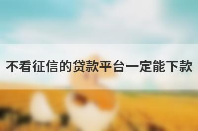 不看征信的贷款平台一定能下款，频繁被拒秒下的网贷