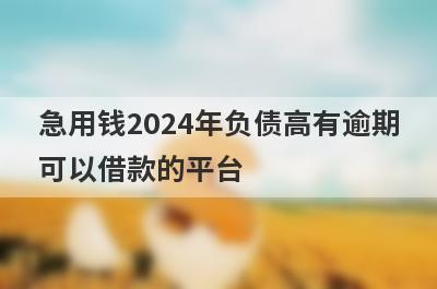 急用钱2024年负债高有逾期可以借款的平台？盘点负债高有逾期马上到账的口子