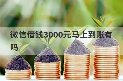 微信借钱3000元马上到账有吗？这几个网贷借款能秒过
