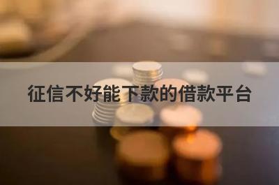 征信不好能下款的借款平台（征信花借款平台容易通过）
