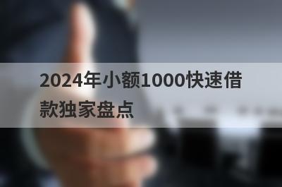 2024年小额1000快速借
款独家盘点
