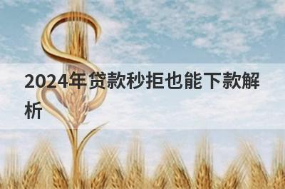 2024年贷款秒拒也能下款解析，这5个都能满足不同的借款需求