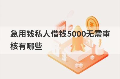 急用钱私人借钱5000无需审核有哪些？独家盘点不看征信的小额贷款