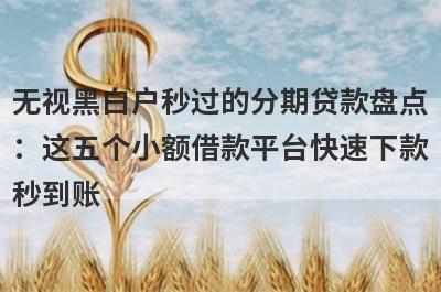 无视黑白户秒过的分期贷款盘点：这五个小额借款平台快速下款秒到账！