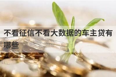 不看征信不看大数据的车主贷有哪些？这五个容易下款，能借到钱秒到账