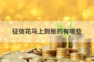 征信花马上到账的有哪些？盘点5个征信花秒下款口子
