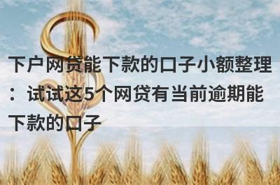 下户网贷能下款的口子小额整理：试试这5个网贷有当前逾期能下款的口子