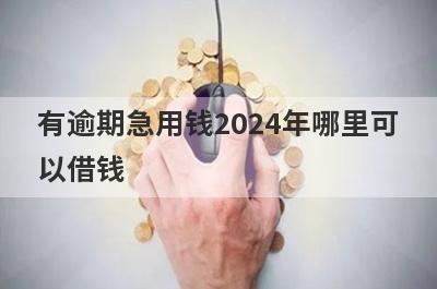 有逾期急用钱2024年哪里可以借钱？试试这5个正在逾期好下款的口子