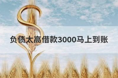 负债太高借款3000马上到账，整理5个负债太高马上到账平台
