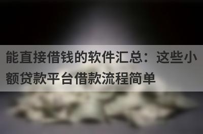 能直接借钱的软件汇总：这些小额贷款平台借款流程简单，放款快速！