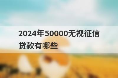 2024年50000无视征信贷款有哪些？独家盘点5个直接通过的小额贷款
