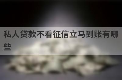 私人贷款不看征信立马到账有哪
些
