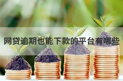 网贷逾期也能下款的平台有哪些？盘点5个逾期双黑户可以借款的口子