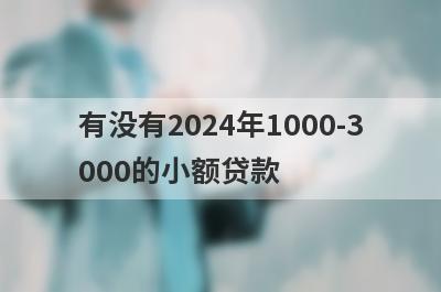 有没有2024年1000-3000的小额贷款？精心整理5个小额贷款2000马上能放款的