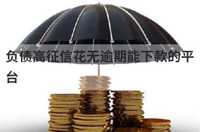 负债高征信花无逾期能下款的平台，门槛低不看征信容易过的借款平台